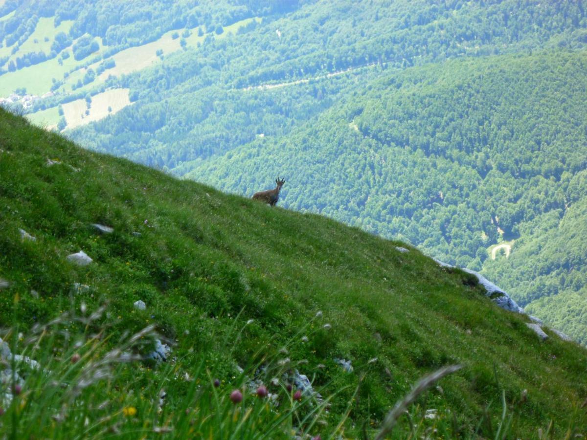 La Moraine Daire Villard-de-Lans Dış mekan fotoğraf